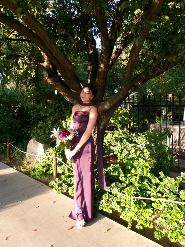 gallery img