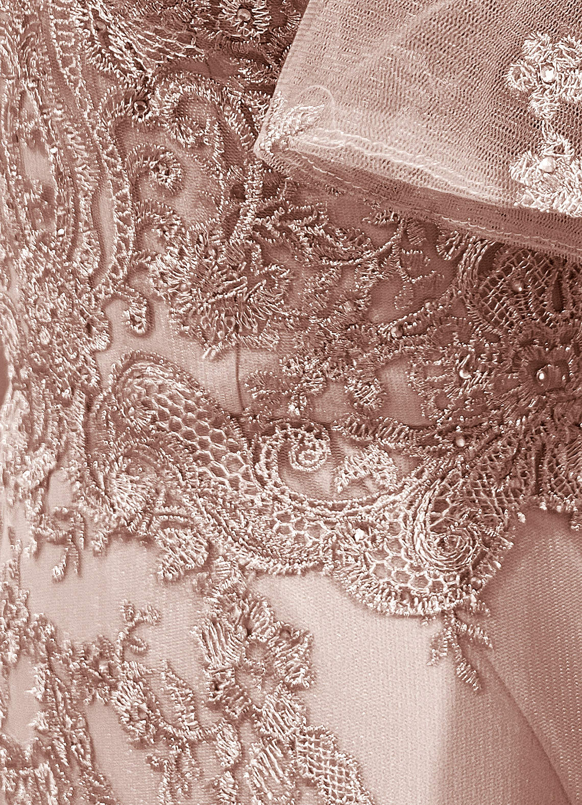 Upstudio Joliet Mother of the Bride Dresses Dusty Rose Mermaid V-Neck Lace Dress image6