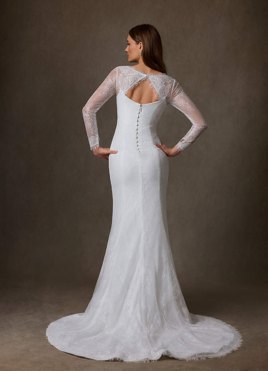 Azazie Briar Vestidos de noiva Vestido Diamante Branco de Renda de sereia com Decote em coração image1