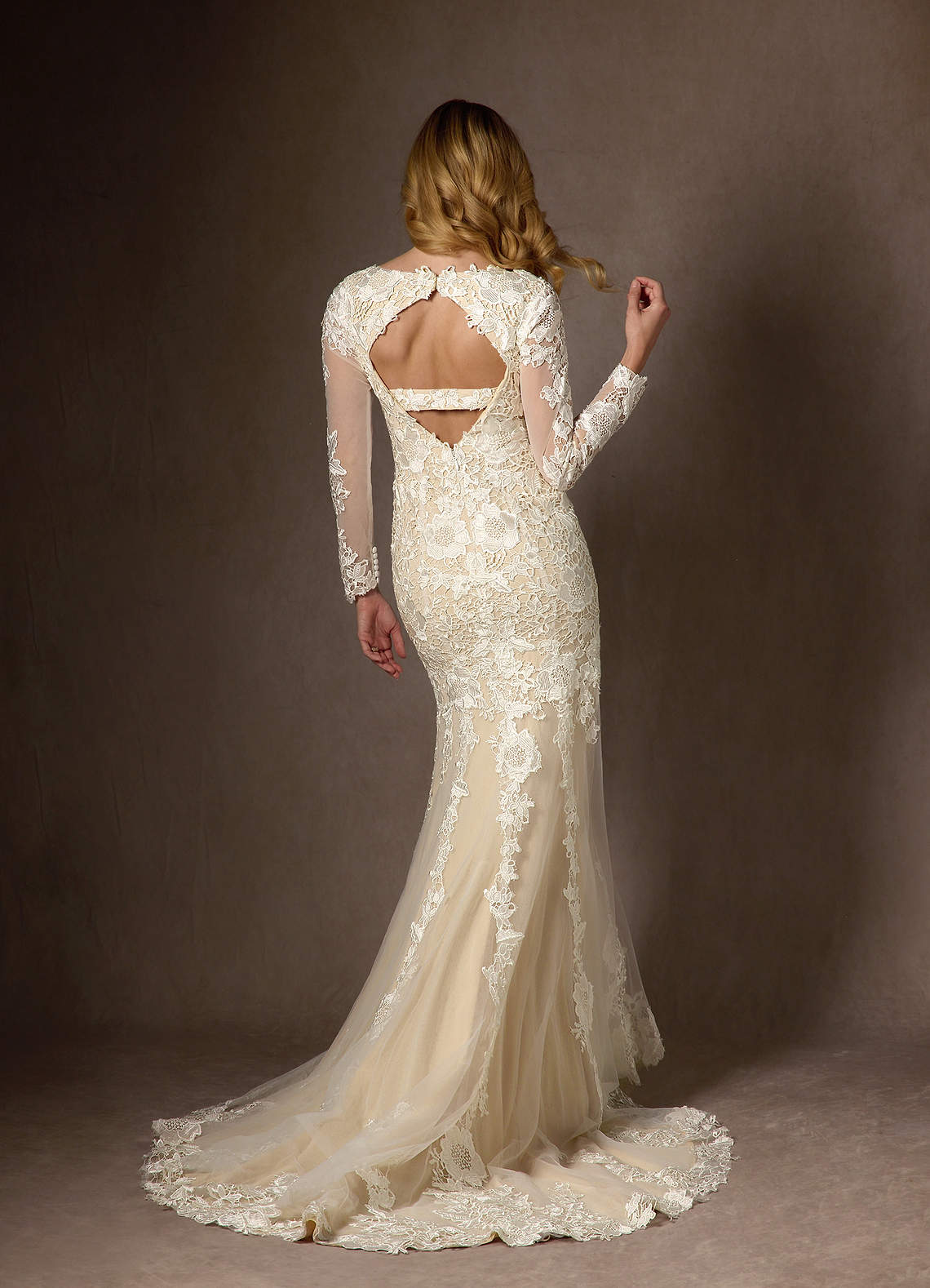 Azazie Dulce Amor Vestidos de novia Vestido de Blanco Diamante Champán de Tul de Corte Sirena con Encaje Cuello V image1
