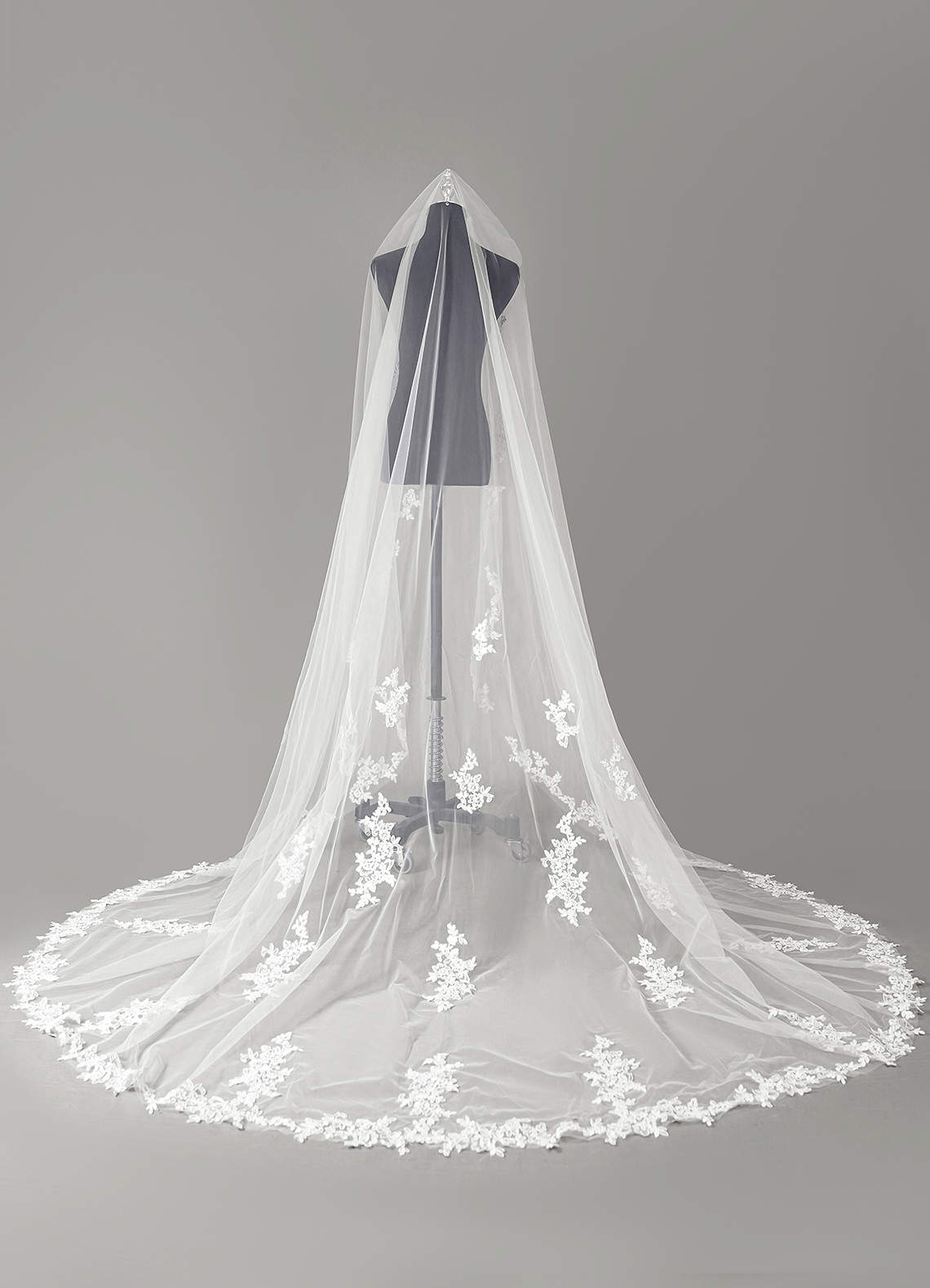 front Lace and Diamond Cathedral Veil