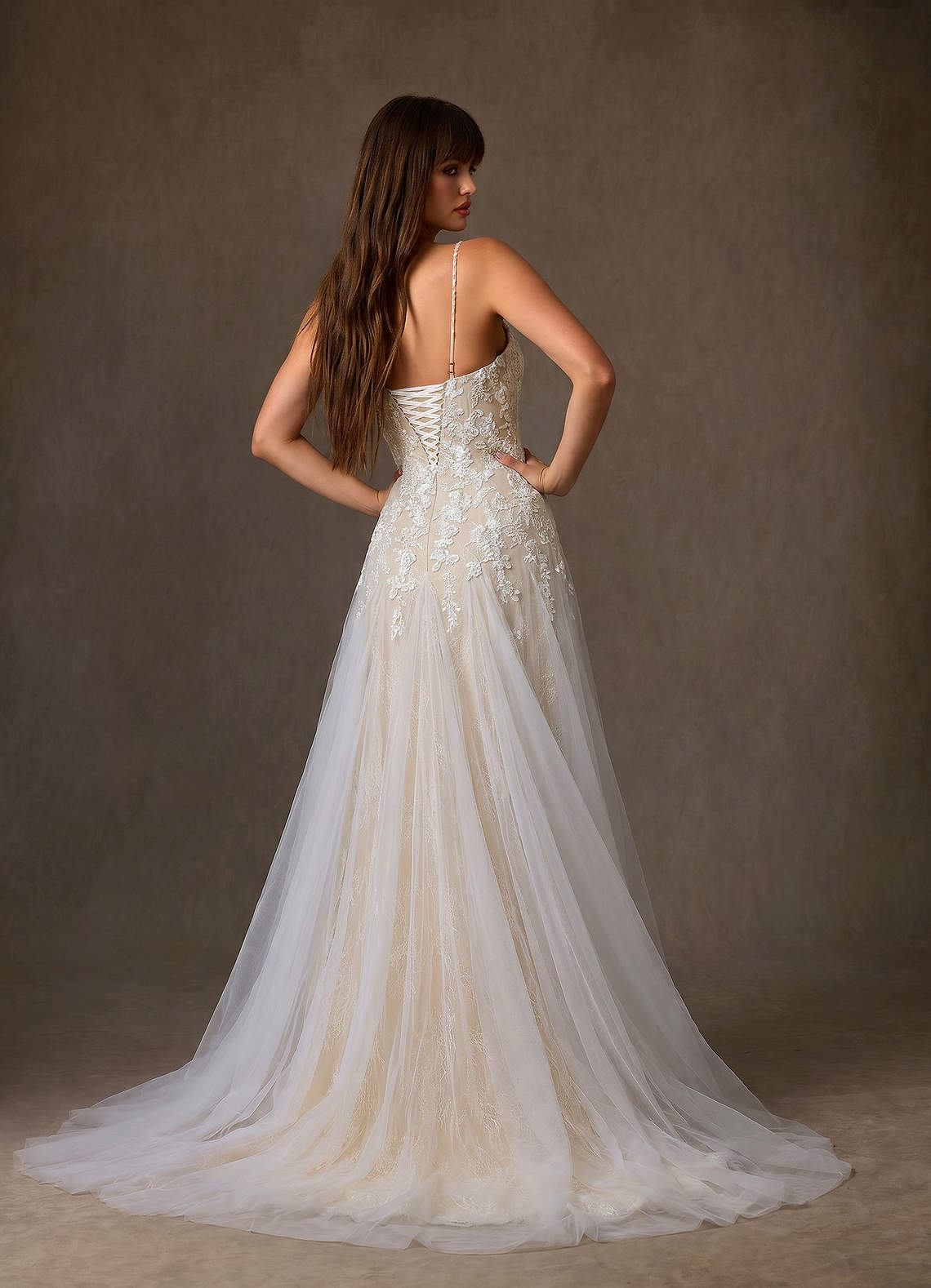 Azazie Lumina Wedding Dresses Diamond White Champagne A-Line Sweetheart Neckline Lace Dress image4