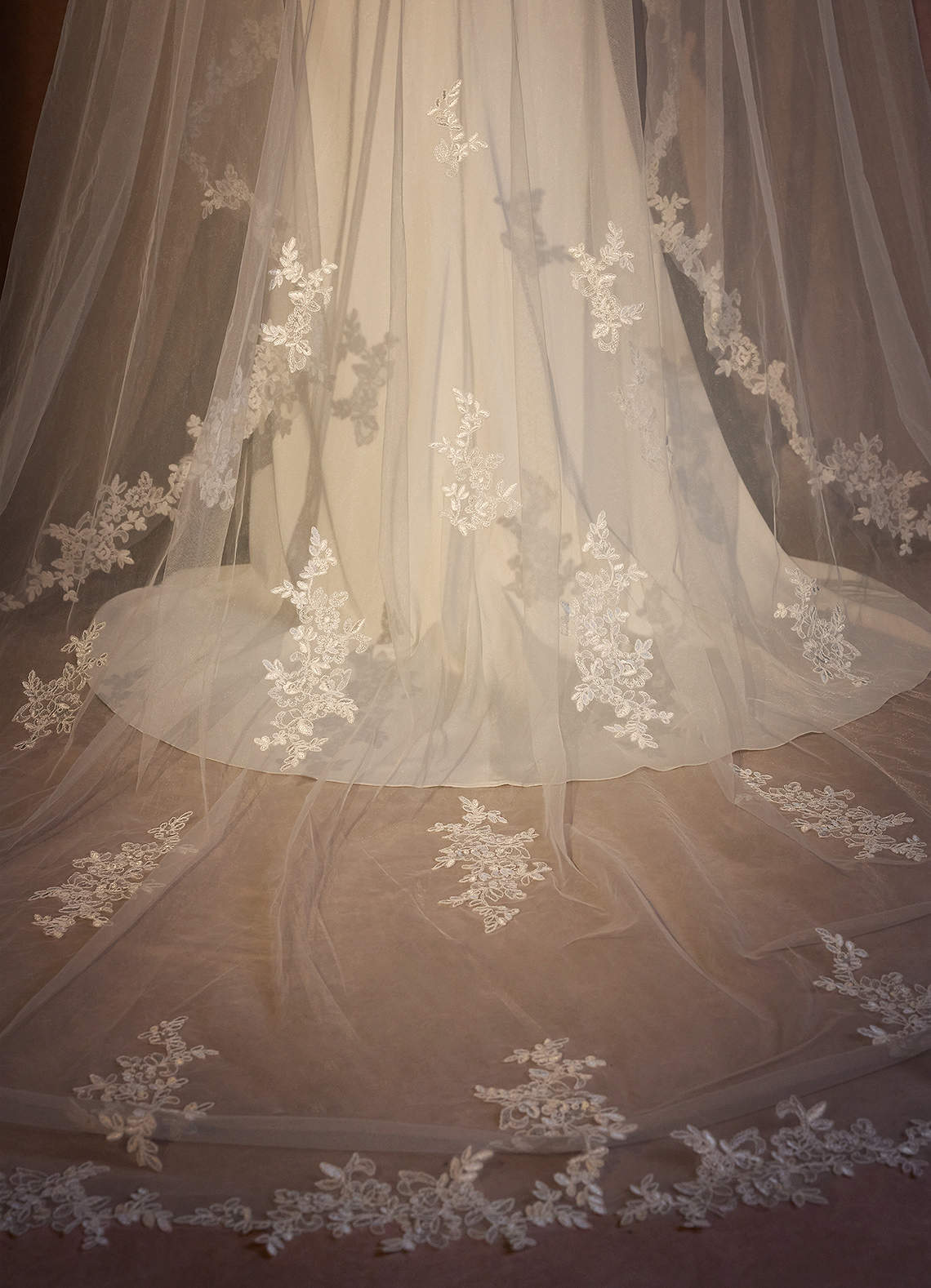 front Lace and Diamond Cathedral Veil