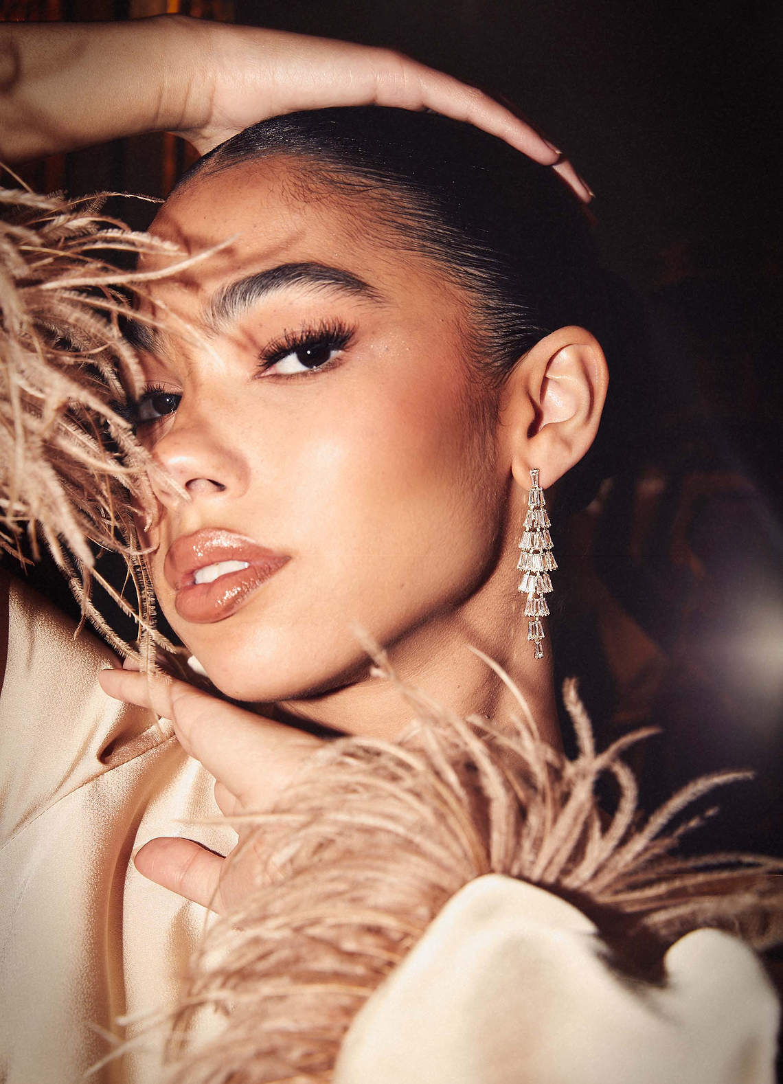 front Zirconia Tassel Drop Earrings