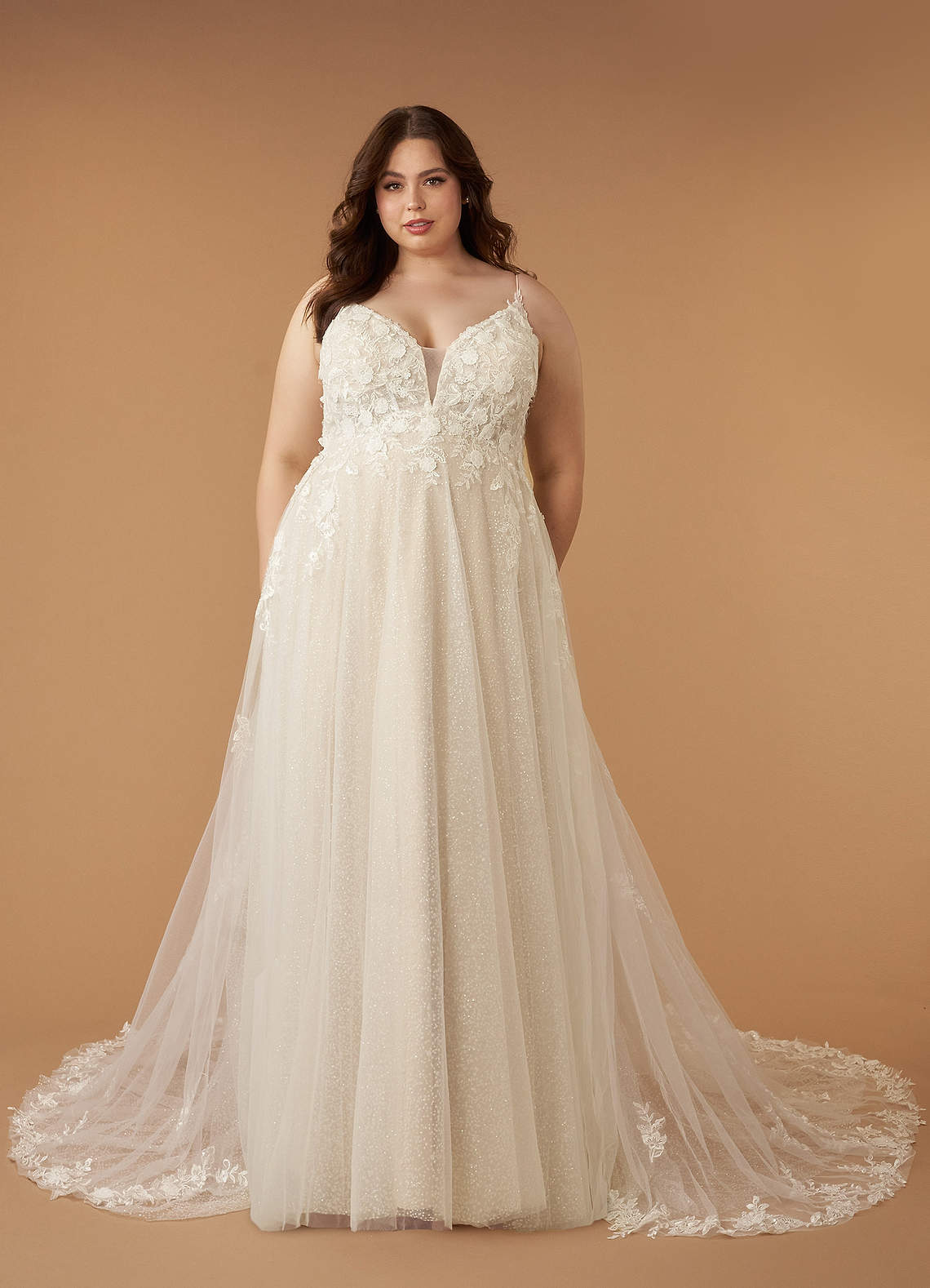 Azazie Arabelle Wedding Dresses Diamond White Champagne A-Line V-Neck Lace Tulle Dress image1