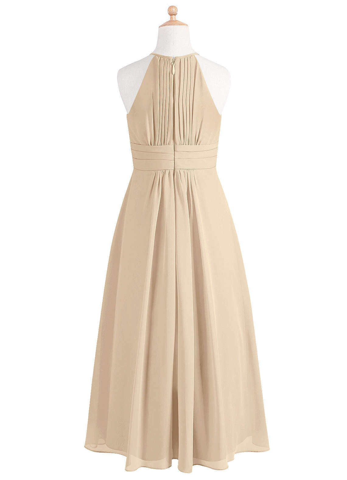 Azazie Bonnie Junior Champagne A-Line Pleated Chiffon Dress image5