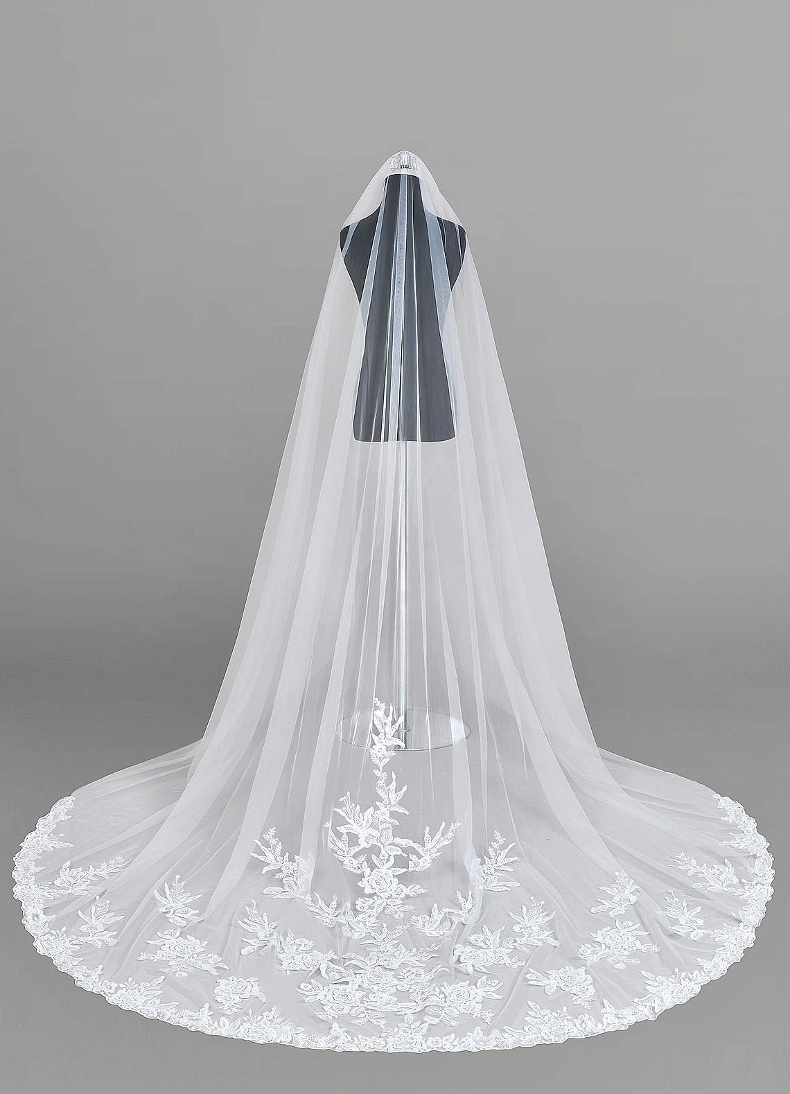 front Charity Lace Cathedral Veil