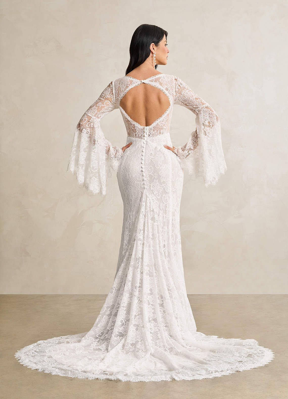 Azazie Hayes Wedding Dresses Diamond White Mermaid V-Neck Lace Dress image4