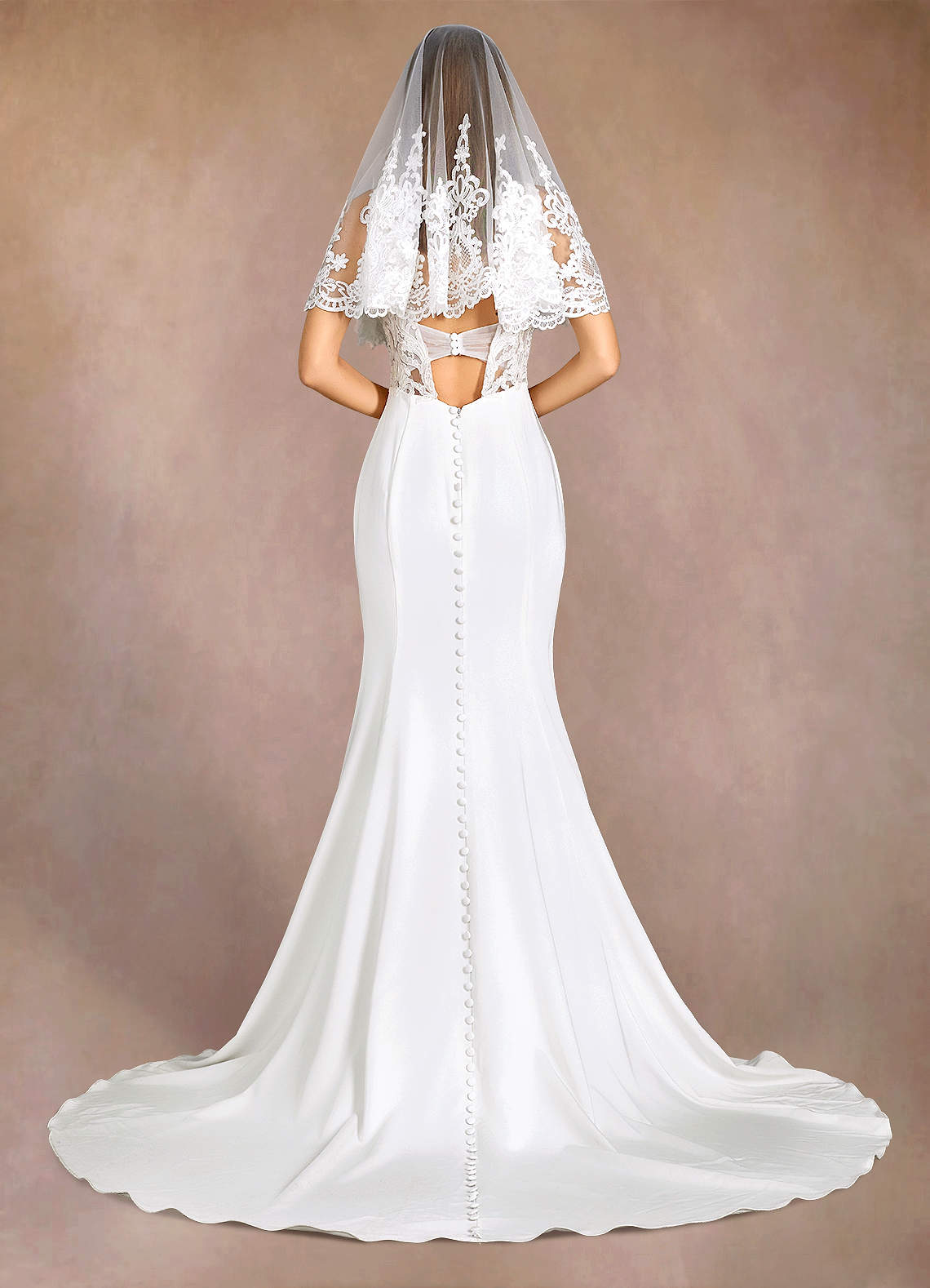 front Princess Lace Elbow Veil With Blusher