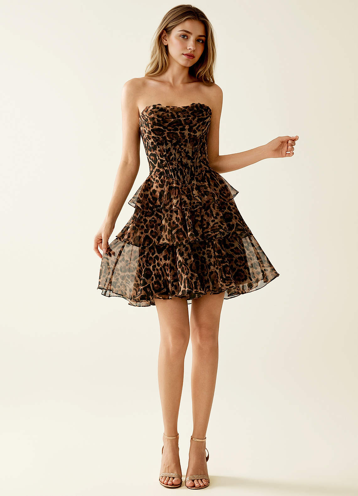 leopard a line mini dress Leopard Print Corset A-Line Mini Dress with Drop Waist Brown / S