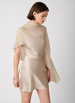 Crystle Taupe 100% Washable Silk Mini Dress image6