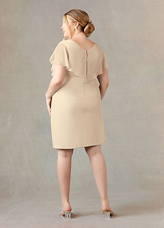 Azazie Julia Mother of the Bride Dresses Champagne Sheath V-Neck Pleated Chiffon Dress image12