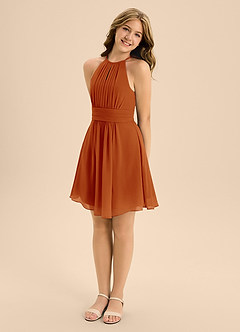 Azazie Bonnie Junior Paprika A-Line Pleated Chiffon Dress image4