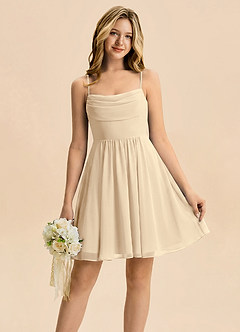 Azazie Bear Junior Champagne A-Line Pleated Chiffon Dress image1