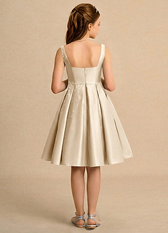 Azazie Jello vestidos de niña de las flores Vestido de Champán de Satin Mate de Princesa con Plisado image2