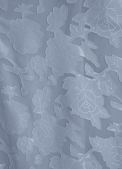 Azazie Raisa At-home Try On Dresses Dusty Blue A-Line Off the Shoulder Floral Burnout Dress image9