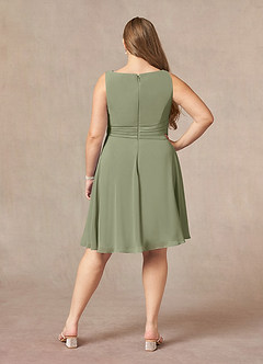 Azazie Shirley Mother of the Bride Dresses Pistachio A-Line Scoop Pleated Chiffon Dress image12