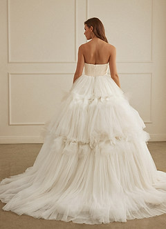 Christian Siriano Bridal for Azazie 2008 Wedding Dresses Diamond White Champagne Ball-Gown Sequins Tulle Dress image10