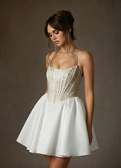 Azazie Barica Wedding Dresses Diamond White Nude A-Line Strapless Lace Dress image1