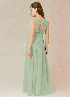 Azazie Bibiane Junior Dusty Sage A-Line Pleated Chiffon Dress image5