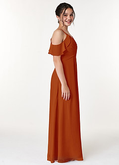 Azazie Dakota Junior Sky Blue A-Line Off the Shoulder Chiffon Dress image3