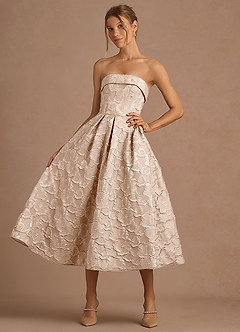 Desiree Vintage Blush Midi Dress image3