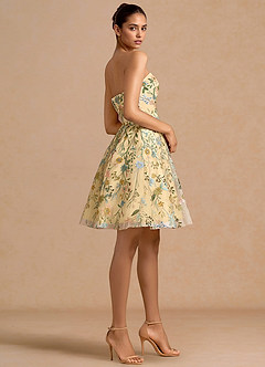 Evangeline Lemon Multi Mini Dress image4