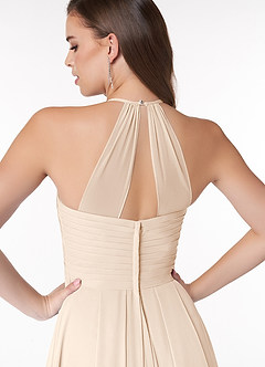 Azazie Ginger Bridesmaid Dresses White Alabaster A-Line Halter Pleated Chiffon Dress image3