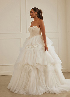 Christian Siriano Bridal for Azazie 2008 Wedding Dresses Diamond White Champagne Ball-Gown Sequins Tulle Dress image17