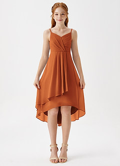 Azazie Mariam Junior Cinnamon A-Line Pleated Chiffon Dress image4