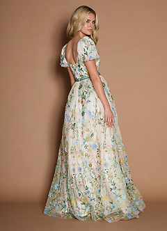Marisa Champagne Multi Maxi Dress image4