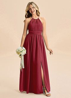 Azazie Noelle Junior Pomegranate A-Line Pleated Chiffon Dress image6