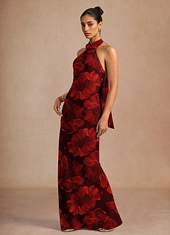 Dillon Carnelian Maxi Dress image1