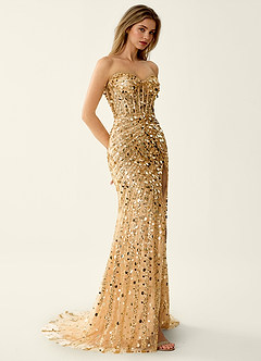 Elowomgen Champagner Paillettenbesatz, Stickerei, Mesh-Abendkleid image4