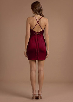 Eri Merlot Mini Dress image2