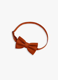 front Boy's Adjustable Stretch Satin Bow Tie