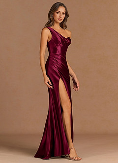 Quorina Wine Maxi Dress image3