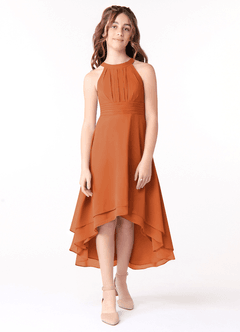 Azazie Linna Junior Cinnamon A-Line Pleated Chiffon Dress image1
