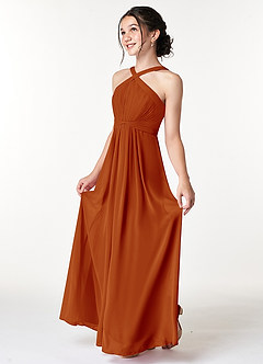 Azazie Anthea Junior Paprika Pleated Chiffon Dress image4