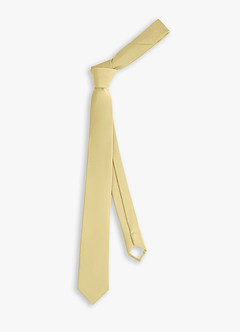 front Stretch Satin Skinny Tie