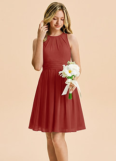 Azazie Bibiane Junior Terracotta A-Line Pleated Chiffon Dress image5