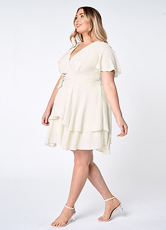 Downright Darling Ivory Ruffled Short Sleeve Mini Dress image12