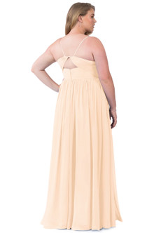 Azazie Cora Bridesmaid Dresses Pearl Pink A-Line Pleated Chiffon Dress image69