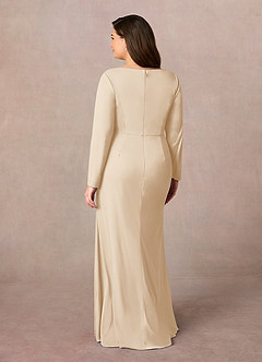Azazie Risa Mother of the Bride Dresses Champagne Mermaid V-Neck Pleated Mesh Dress image8