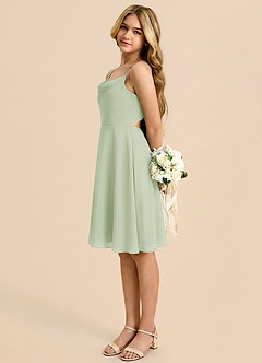 Azazie Shale Dusty Sage A-Line Bow Chiffon Dress image1
