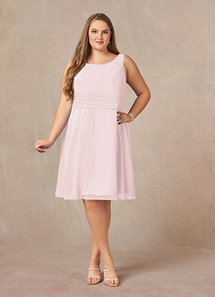 Azazie Shirley Mother of the Bride Dresses Blushing Pink A-Line Scoop Pleated Chiffon Dress image11