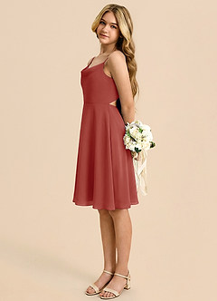 Azazie Shale Terracotta A-Line Bow Chiffon Dress image1