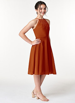 Azazie Alayna Junior Agave A-Line Pleated Chiffon Dress image6