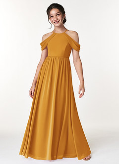Azazie Seneca Junior Butterscotch A-Line Off the Shoulder Chiffon Dress image3