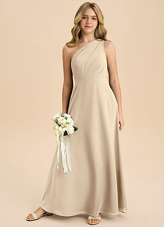 Azazie Phaedra Junior Vestido de Champán de Gasa de Corte en A con Plisado image8